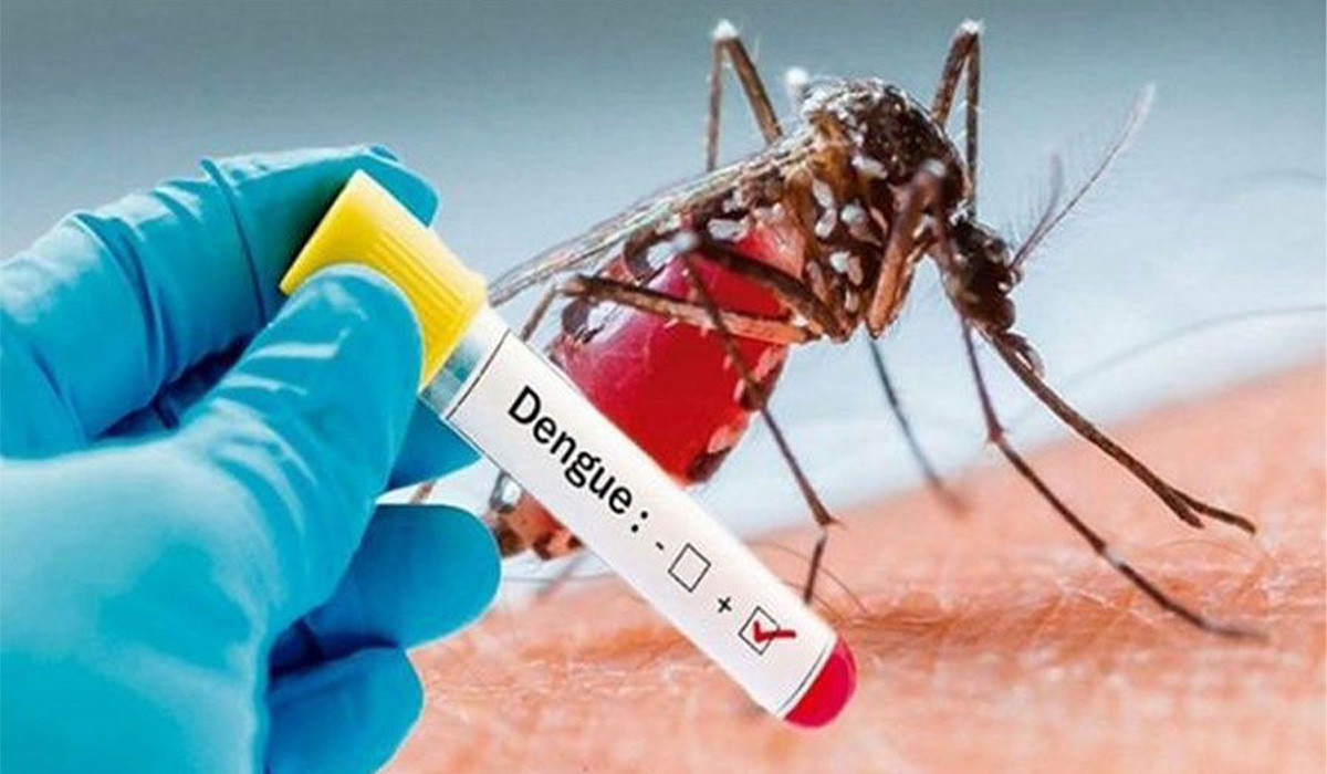 Dengue Dengu1632221977.jpg