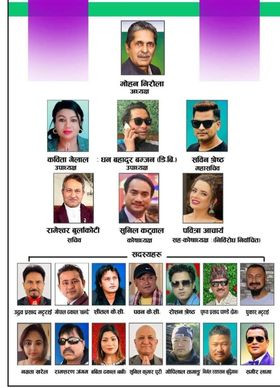 यस्तो बन्यो निरौलाको प्यानल