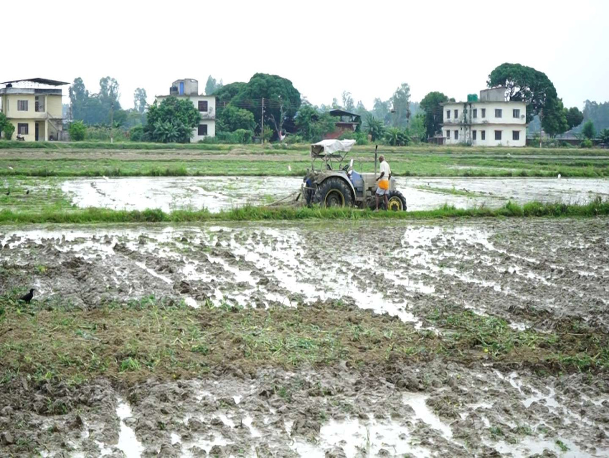‘अहिले सबैभन्दा अपहेलित पेसा कृषि बनेको छ’