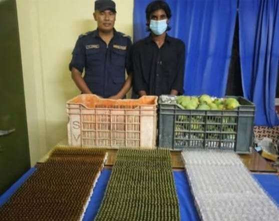 ४ हजार ५ सय पिस एम्पुल सहित अन्सारी पक्राउ