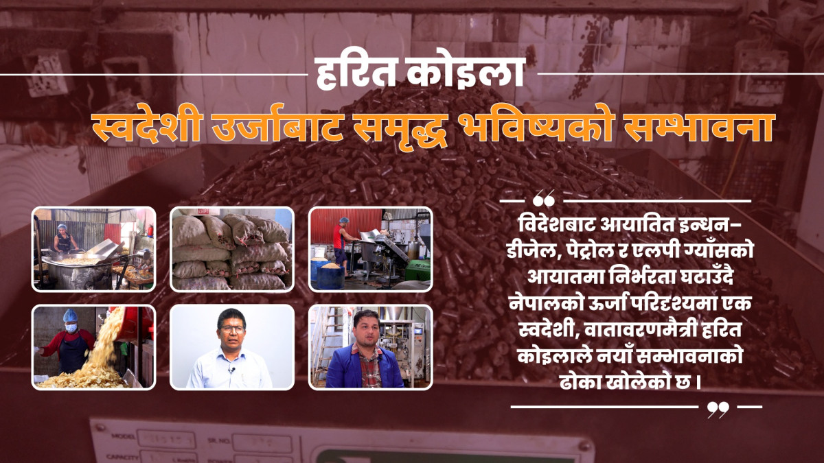 हरित कोइलाः स्वदेशी उर्जाबाट समृद्ध भविष्यको सम्भावना