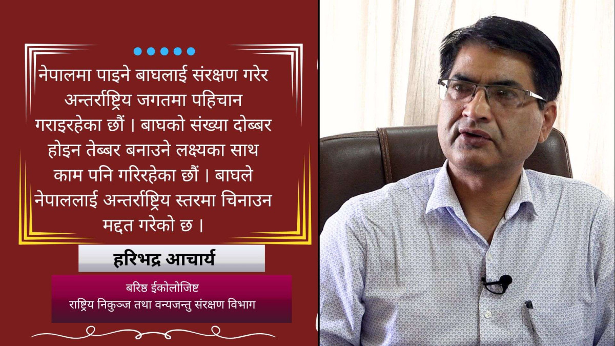 बाघले नेपाललाई अन्तर्राष्ट्रिय जगतमा परिचित गराएको छ : हरिभद्र आचार्य