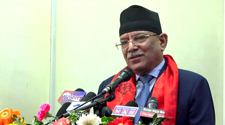 राजनीतिको पूरै जिम्मा मेरै काँधमा छ जस्तो लाग्छ : प्रचण्ड