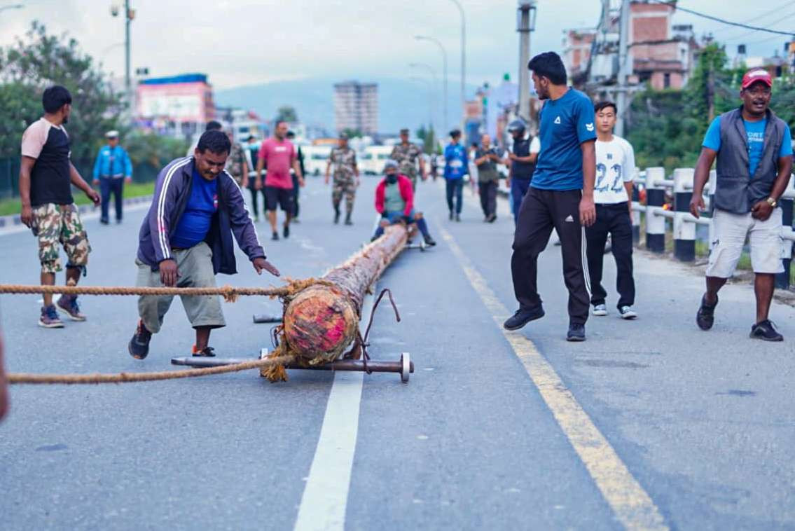 इन्द्र जात्राः चित्तपोलबाट ल्याइएको यसिंलाई आज नगर प्रवेश गराई कालभैरव अगाडि राखिदै