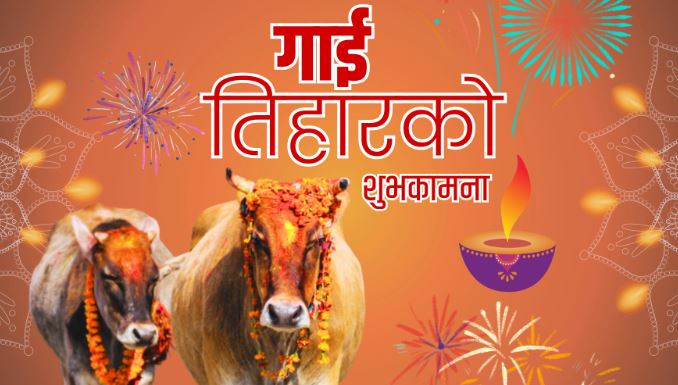 तिहारको पाँचौ दिन : आज गाई पूजा