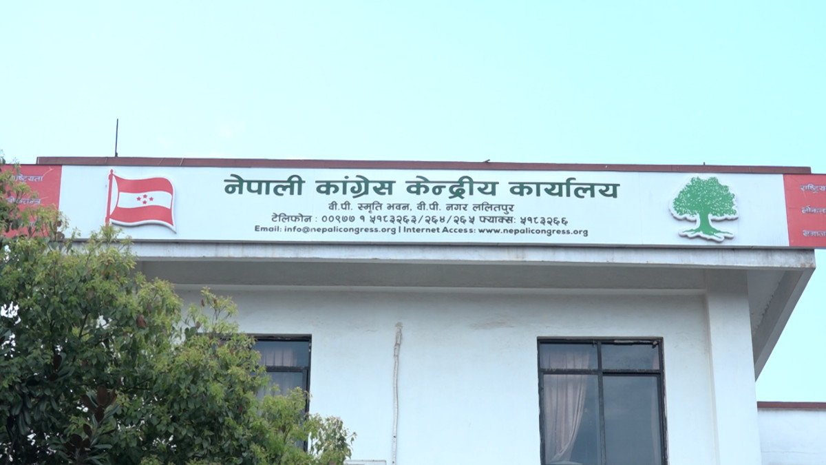 कांग्रेसले निर्वाचनका लागि खटायो सातै प्रदेशमा नेताहरू
